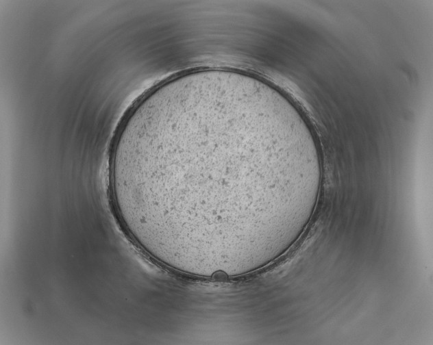 X0000112781040200909101608