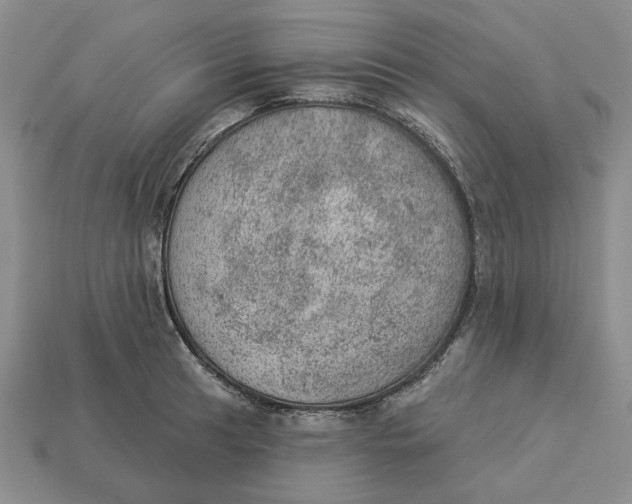 X0000112781041200909101608