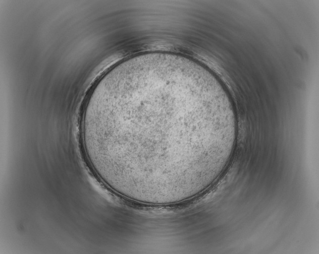 X0000112781042200909101608