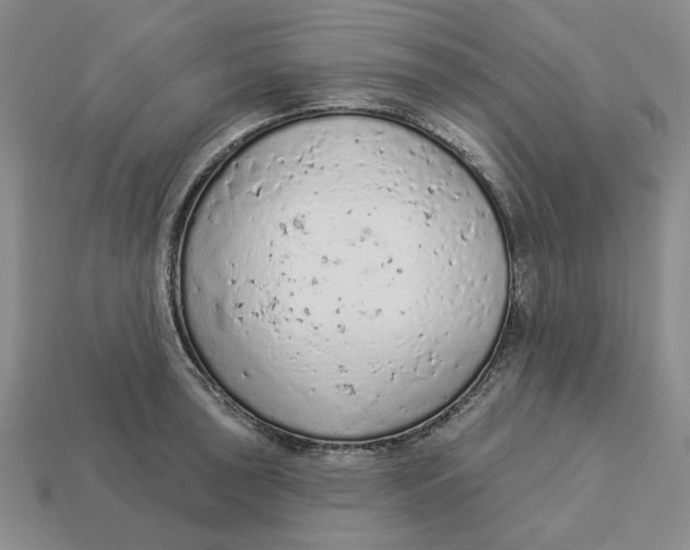 X0000112781043200909101608