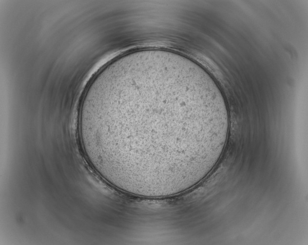 X0000112781044200909101608