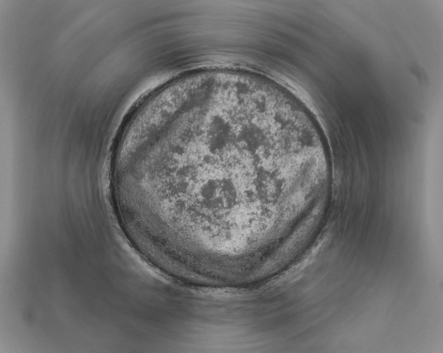 X0000112781045200909101608