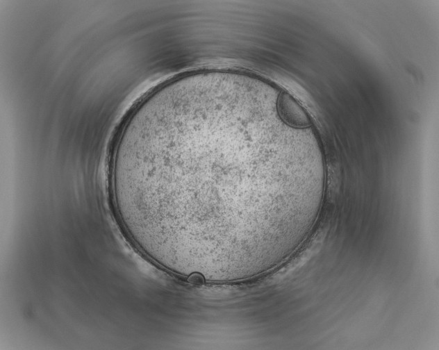 X0000112781046200909101608