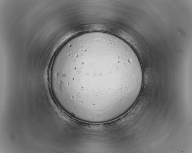 X0000112781047200909101608