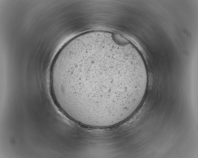 X0000112781048200909101608