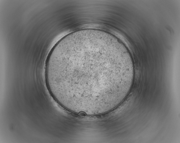 X0000112781050200909101608