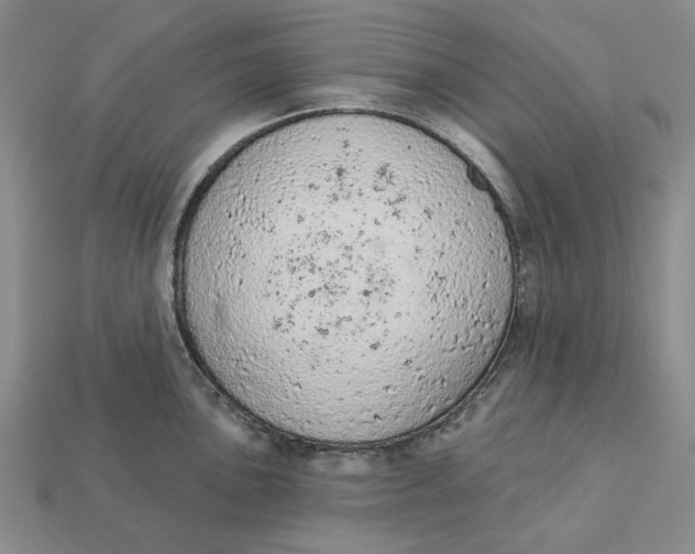 X0000112781051200909101608