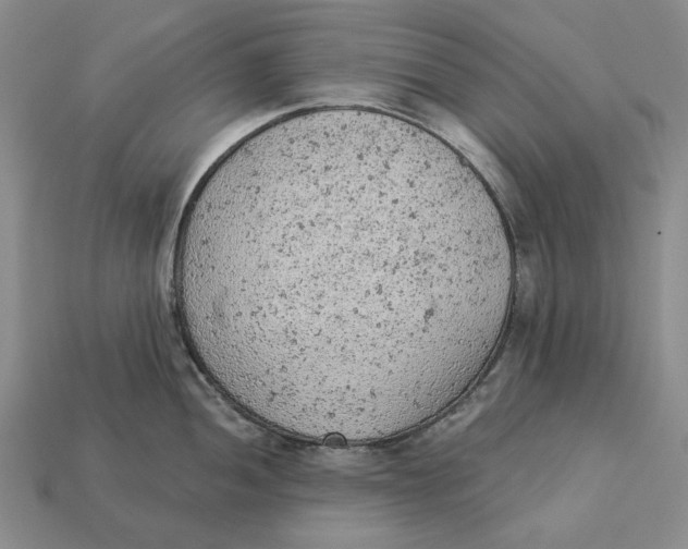 X0000112781052200909101608