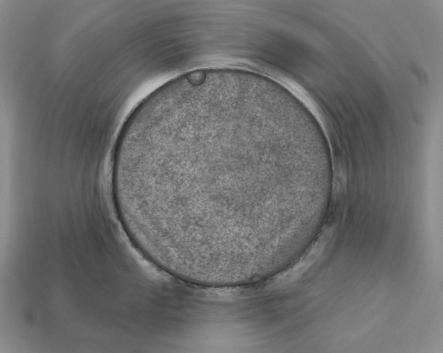 X0000112781053200909101608