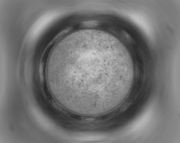 X0000112781054200909101608