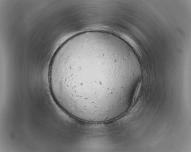 X0000112781055200909101608