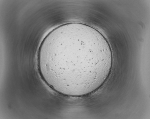 X0000112781056200909101608