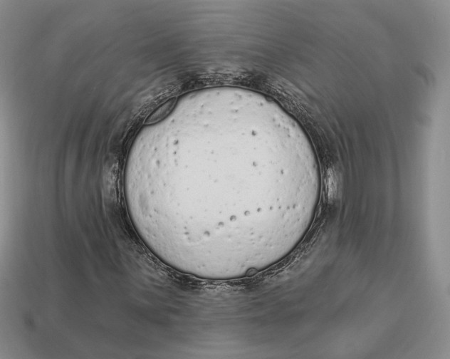 X0000112781059200909101608