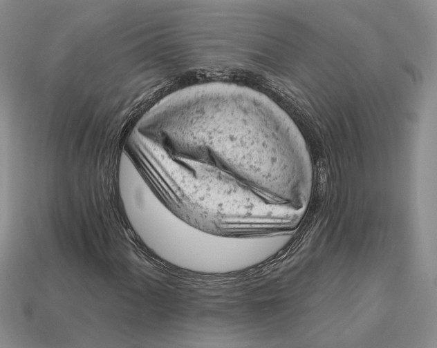 X0000112781060200909101608