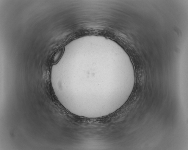 X0000112781061200909101608