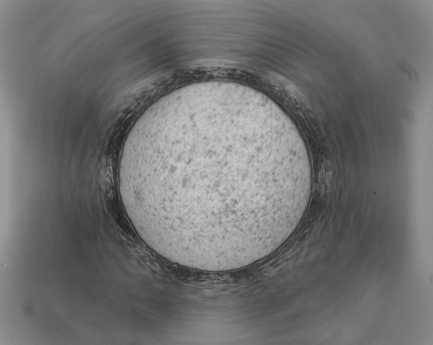 X0000112781062200909101608