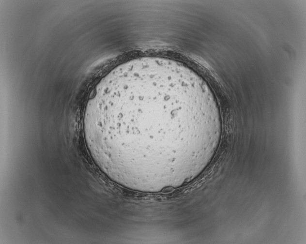 X0000112781063200909101607