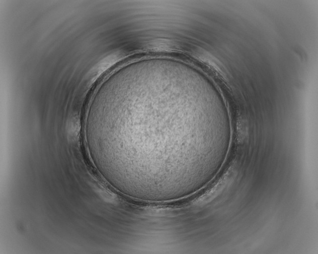 X0000112781065200909101607