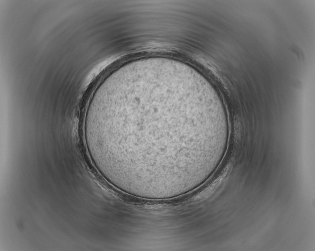 X0000112781066200909101607