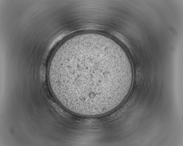 X0000112781067200909101607