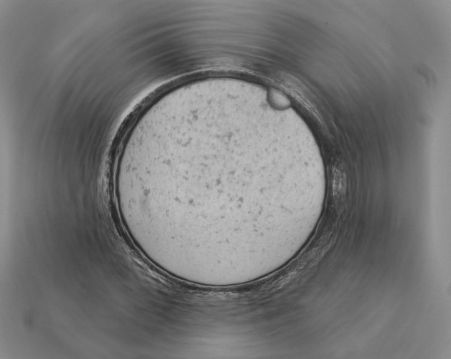 X0000112781068200909101607