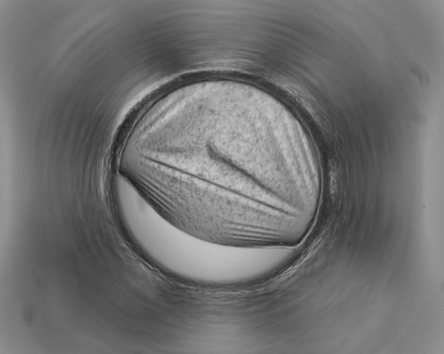 X0000112781069200909101607