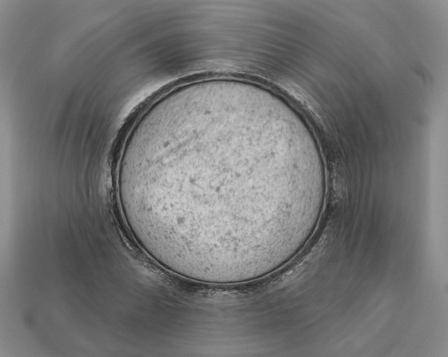 X0000112781070200909101607