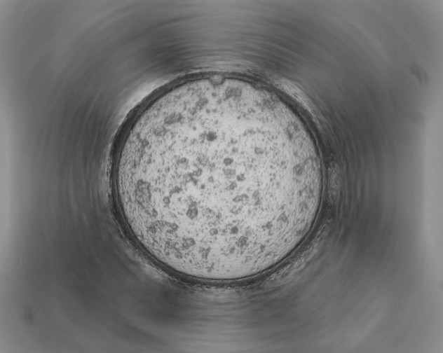 X0000112781071200909101607