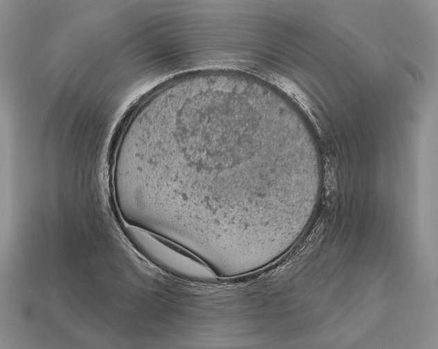 X0000112781072200909101607