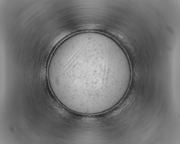 X0000112781073200909101607