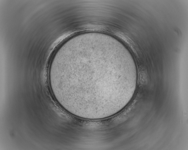 X0000112781074200909101607