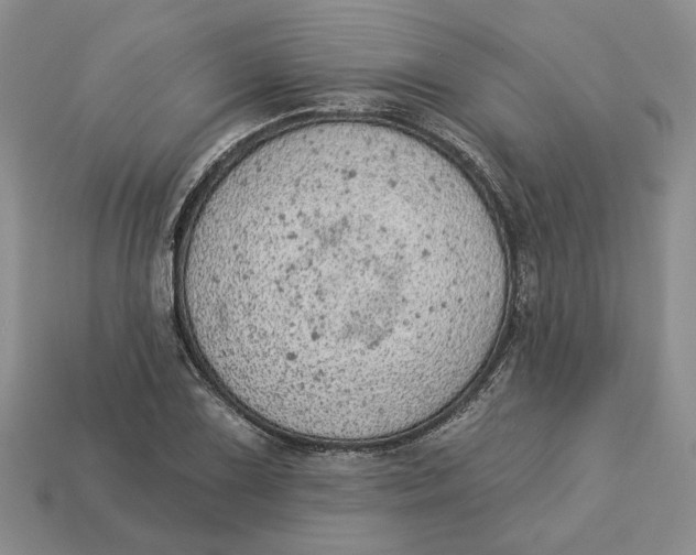 X0000112781075200909101607