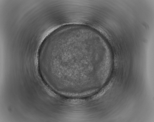 X0000112781077200909101607