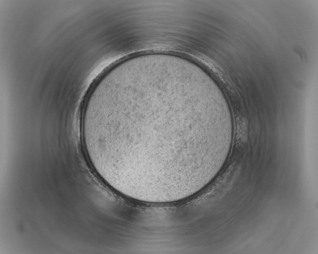 X0000112781078200909101607