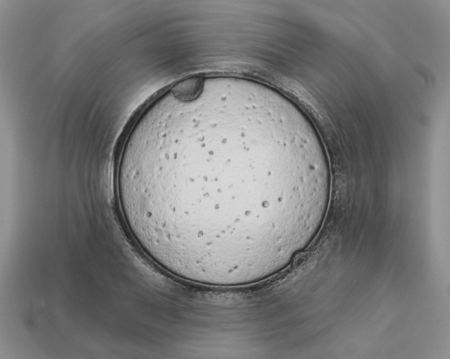 X0000112781079200909101607