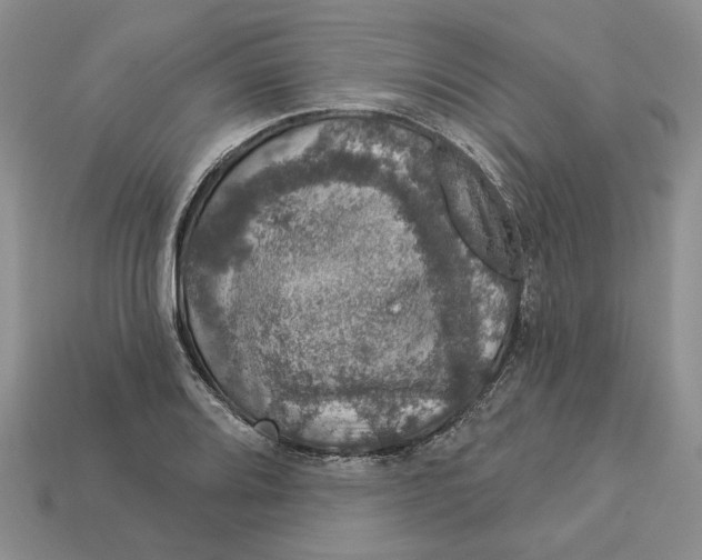 X0000112781080200909101607