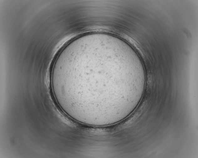 X0000112781082200909101607