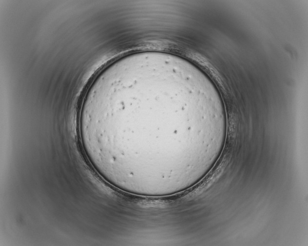 X0000112781083200909101607