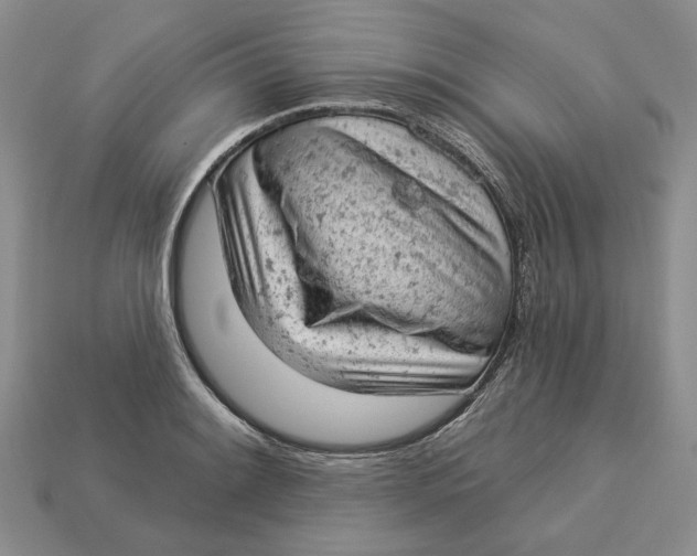 X0000112781084200909101607