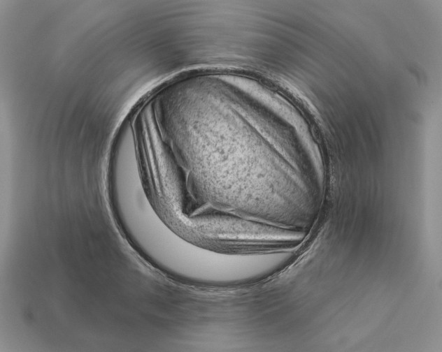 X0000112781085200909101607