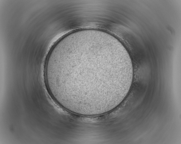 X0000112781086200909101607