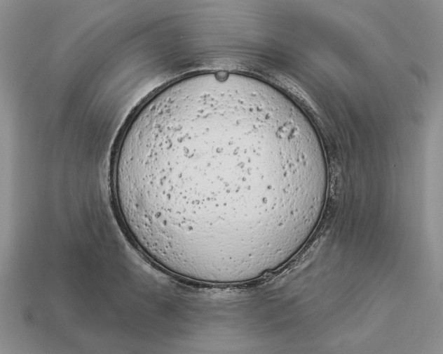 X0000112781087200909101607