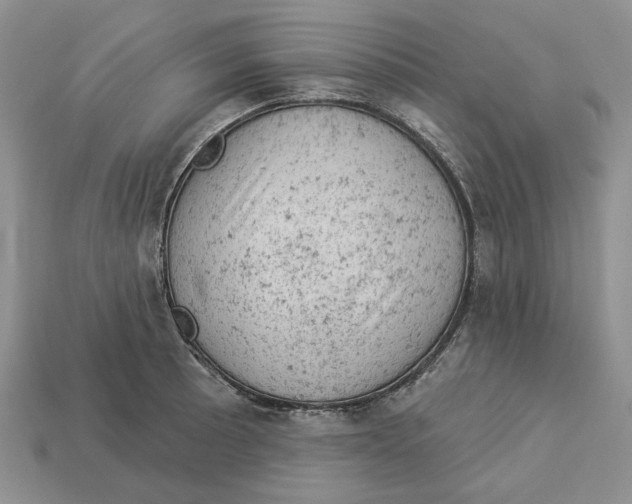 X0000112781089200909101607