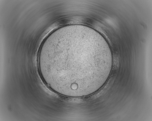 X0000112781090200909101607