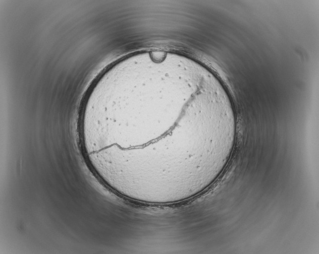 X0000112781091200909101607