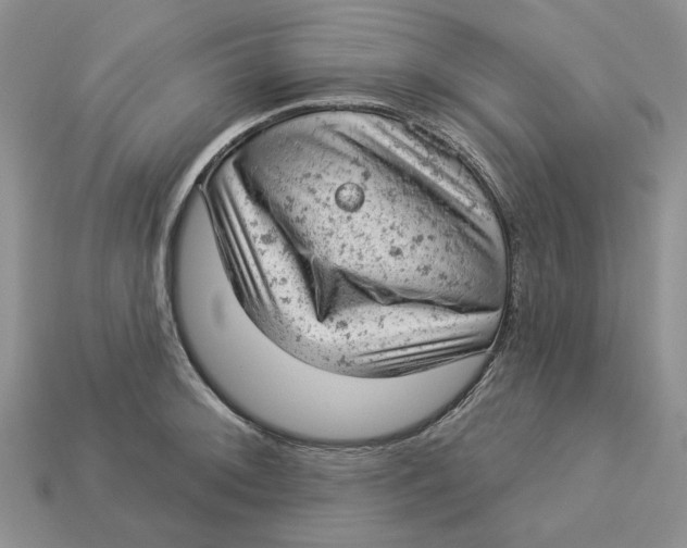 X0000112781092200909101607