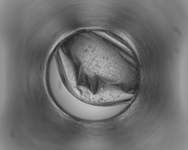 X0000112781093200909101607