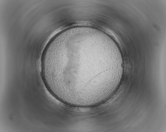 X0000112781095200909101607