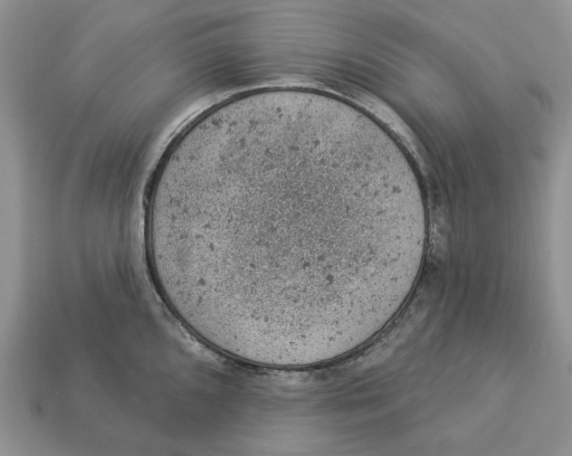 X0000112781096200909101607