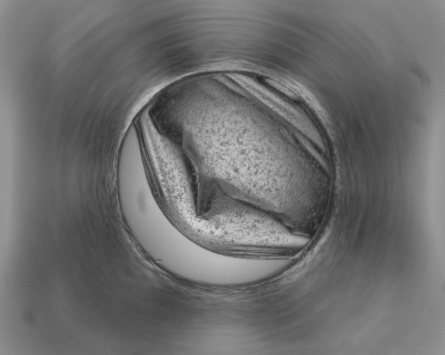 X0000112781097200909101607